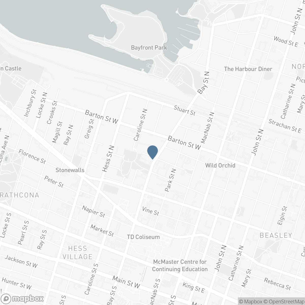 64 SHEAFFE STREET, Hamilton, Ontario L8R 2E9